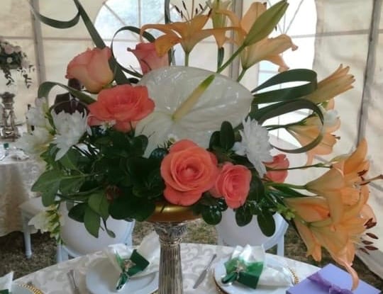 For occasions photo 24