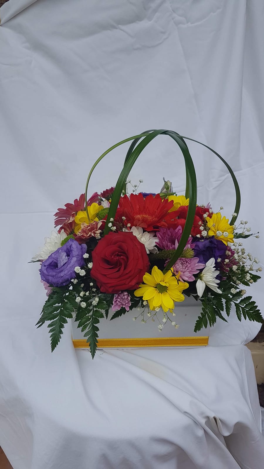 From the studio photo 35